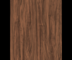 Latin Ceviz Suntalam